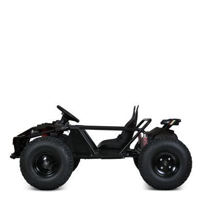 Електромобіль дитячий двомісний (мотор 48V800W) Баггі (M 5797A-2(48V))