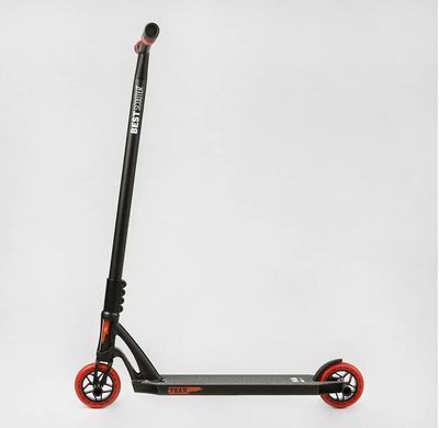 Самокат трюковый Best Scooter "FEAR", пеги, SCS-система, диск и дека алюминиевые, МТ-50599