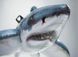 Детский надувной плотик для катания «Белая Акула», Intex 57525, 173 х 107 см