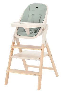 Стульчик для кормления деревянный CARRELLO Ergo CRL-16701 Elora Green