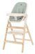 Стульчик для кормления деревянный CARRELLO Ergo CRL-16701 Elora Green