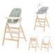 Стульчик для кормления деревянный CARRELLO Ergo CRL-16701 Elora Green