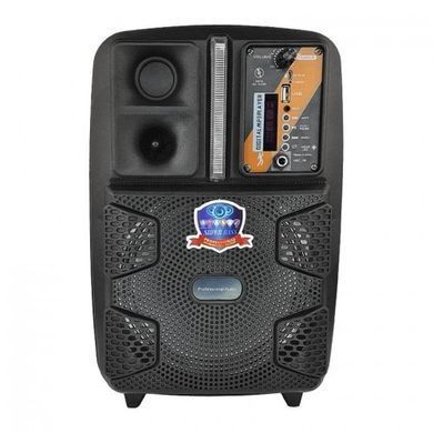 Портативна акумуляторна Bluetooth колонка з мікрофоном, 25.5*37*16.5 см, PK-16