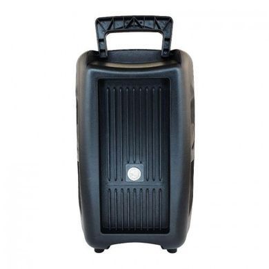 Портативна акумуляторна Bluetooth колонка з мікрофоном, 25.5*37*16.5 см, PK-16