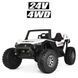 Электромобиль детский двухместный Багги Джип 4WD (M 4170EBLR-1(24V))