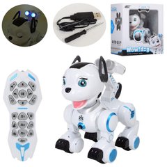 Інтерактивна Собака-робот на радіоуправлінні, USB-кабель для зарядки, 26 см, K10