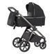 Коляска универсальная 2 в 1, CARRELLO Omega CRL-6530/1 (2in1) Absolute Black + фонарь, черная, Карелло Омега