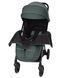Коляска прогулочная Carrello Delta CRL-5517 Jungle Green, зеленая, Карелло Дельта, до 22кг