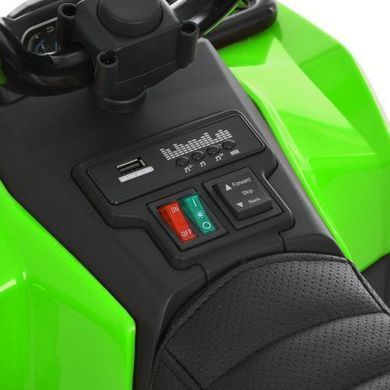 Электромобиль детский, квадроцикл с пультом управления, Мотор 35W/6V, M 6286EBLR-5