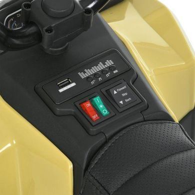 Електромобіль дитячий, квадроцикл з пультом керування, Мотор 35W/6V, M 6286EBLR-13