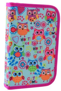 Пенал твёрдый с двумя клапанами HP-04 "Funny owls" «Smart» 532020