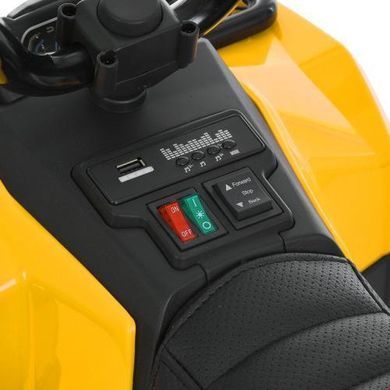 Электромобиль детский, квадроцикл с пультом управления, Мотор 35W/6V, M 6286EBLR-6