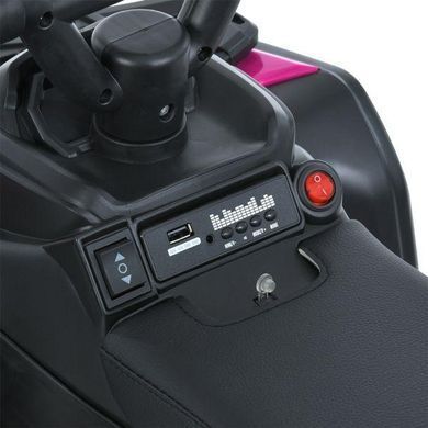Дитячий електромобіль, квадроцикл, каталка-толокар мотор 1*25W, музика, UCB, M 6125EBLR-8