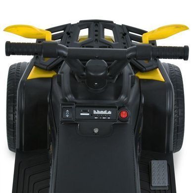 Дитячий електромобіль, квадроцикл, каталка-толокар мотор 1*25W, музика, UCB, M 6125EBLR-6