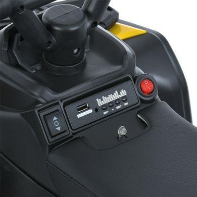 Дитячий електромобіль, квадроцикл, каталка-толокар мотор 1*25W, музика, UCB, M 6125EBLR-6