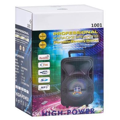 Портативна Bluetooth колонка з мікрофоном та пультом, 25&times;20&times;37 см, 1001