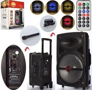 Портативна акумуляторна колонка Bluetooth з мікрофоном, 36*28*56 см, LT-1203