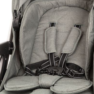 Коляска прогулочная Carrello Vista CRL-8505 Steel Grey, стальная, Карелло Виста, до 22 кг