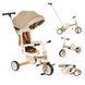 Велосипед трехколесный с родительской ручкой и беговел (2 в 1), TILLY SNAP T-391 beige