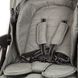Коляска прогулочная Carrello Vista CRL-8505 Steel Grey, стальная, Карелло Виста, до 22 кг