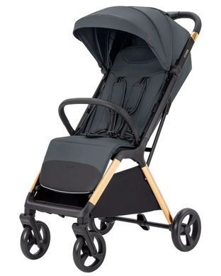 Коляска прогулочная CARRELLO Cross CRL-5523 Eagle Grey, Карелло Кросс