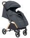 Коляска прогулочная CARRELLO Cross CRL-5523 Eagle Grey, Карелло Кросс