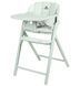 Стульчик для кормления деревянный CARRELLO Tenero CRL-9507 Elysium Green