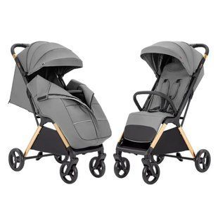 Коляска прогулянкова CARRELLO Porto CRL-5522 Owl Grey, візочок Карелло Порто