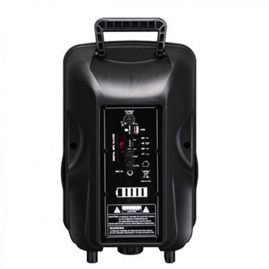 Портативна акумуляторна Bluetooth колонка з мікрофоном, 25,5-37-19 см, PK-07