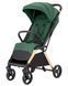 Коляска прогулянкова CARRELLO Porto CRL-5522 Parrot Green, візочок Карелло Порто